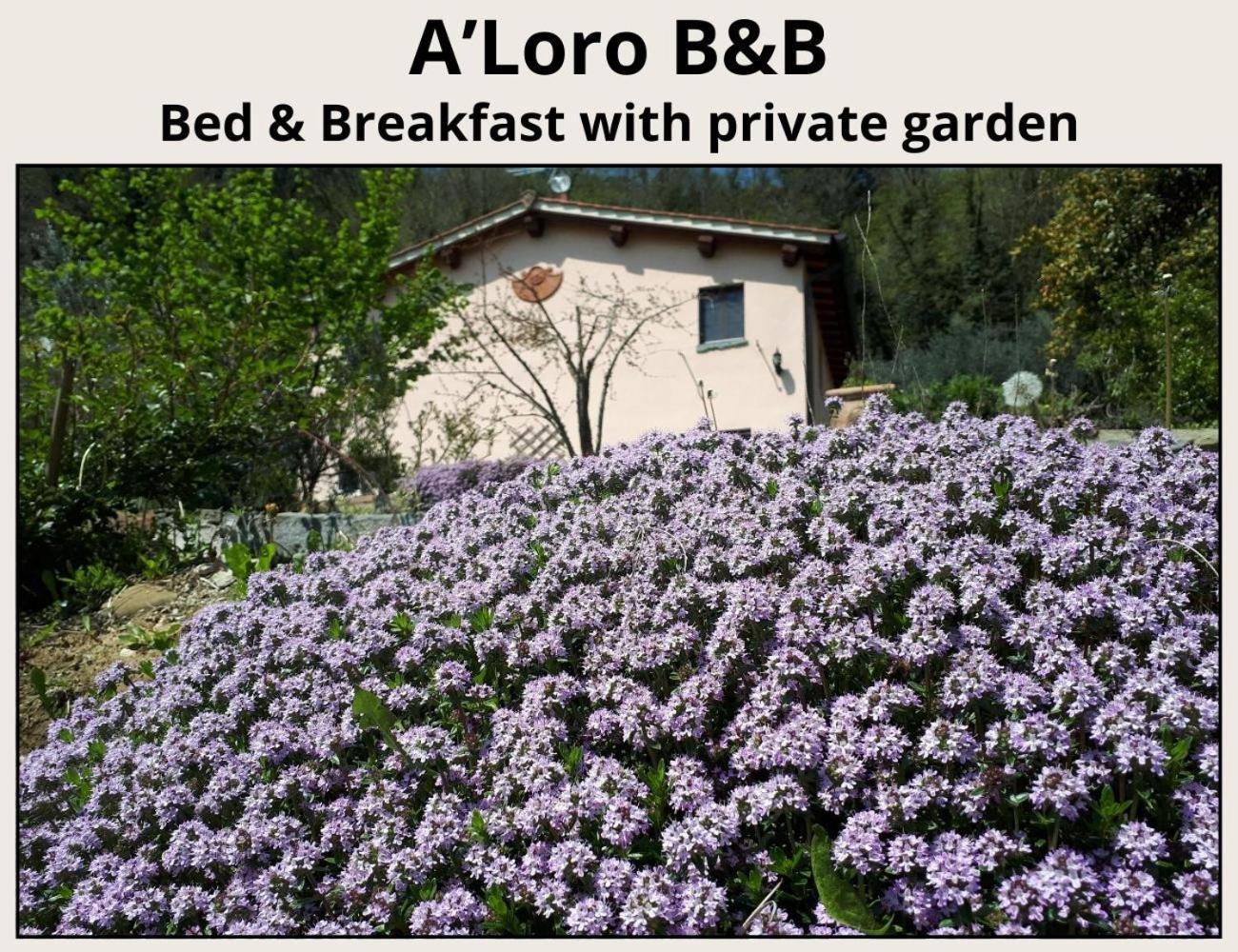 A'Loro B&B Terranuova Bracciolini Exterior photo