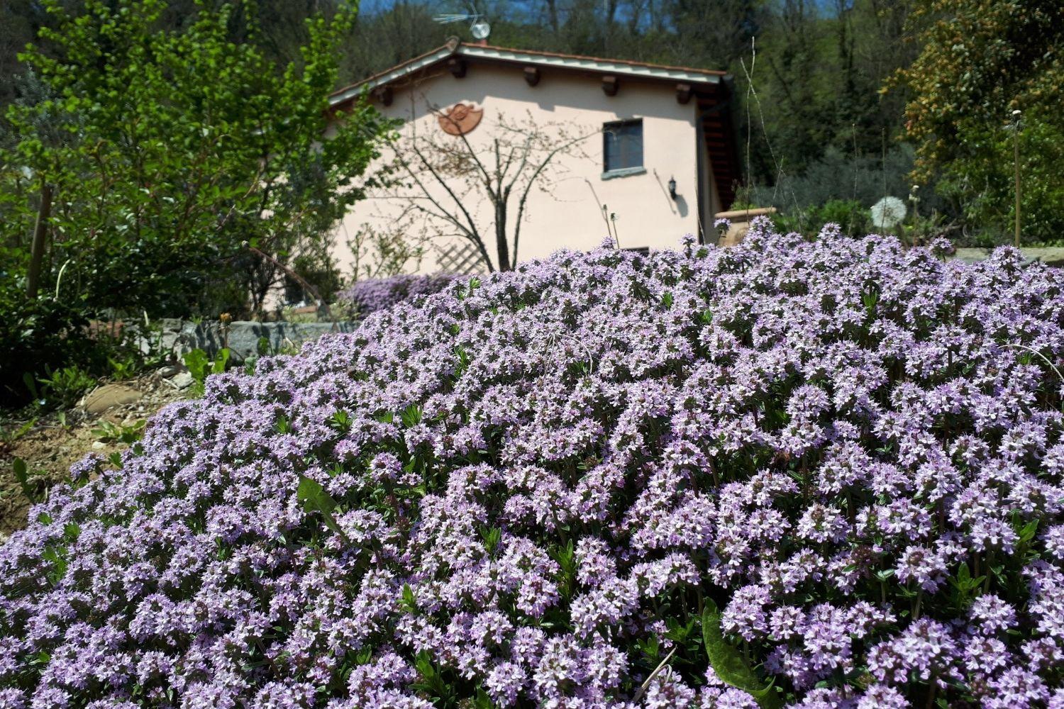 A'Loro B&B Terranuova Bracciolini Exterior photo